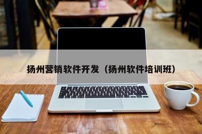 揚州營銷軟件開發(fā) 本地網(wǎng)絡技術服務的利器與實踐指南
